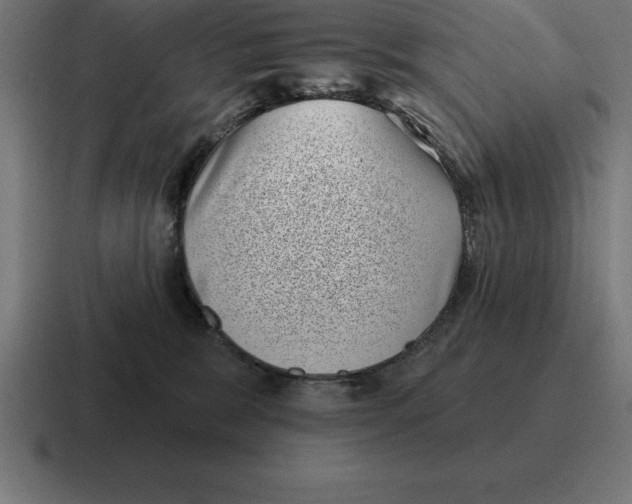 X0000116810327200912312001