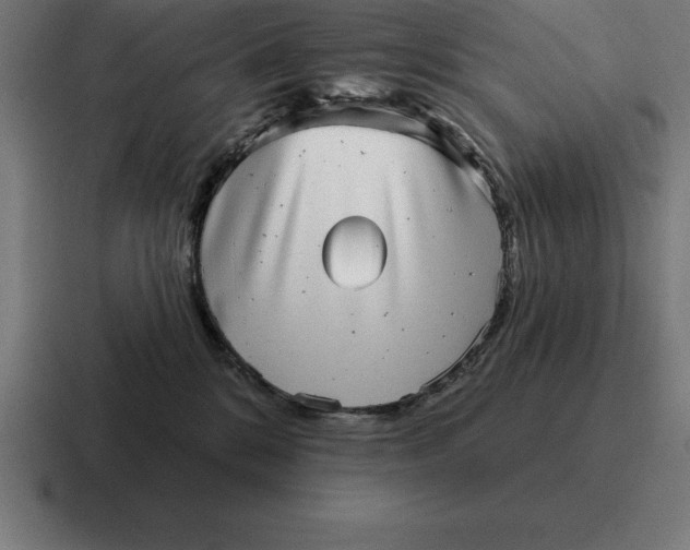 X0000116810328200912312001