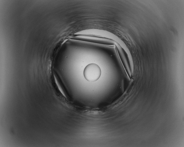 X0000116810332200912312000