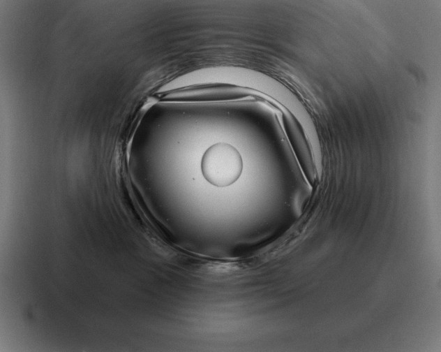 X0000116810333200912312000