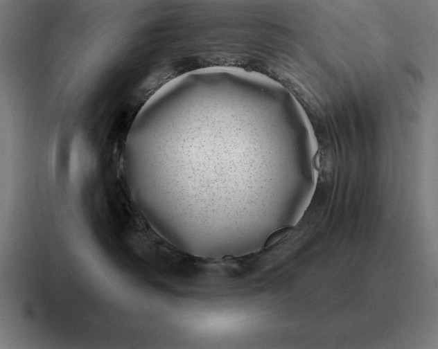 X0000116810334200912312000