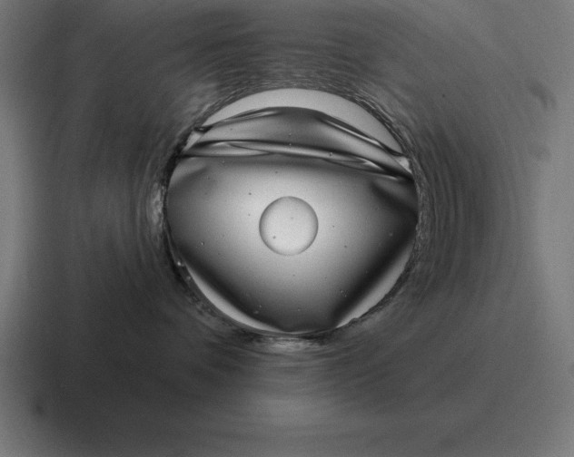 X0000116810336200912312000