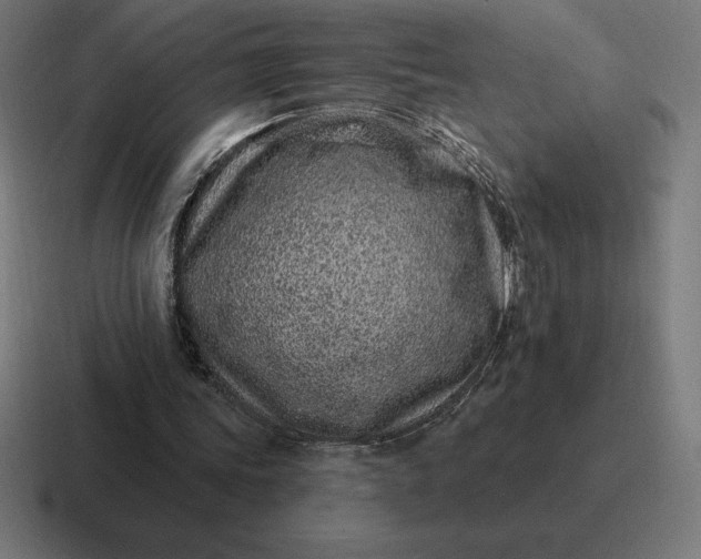 X0000116810339200912312000