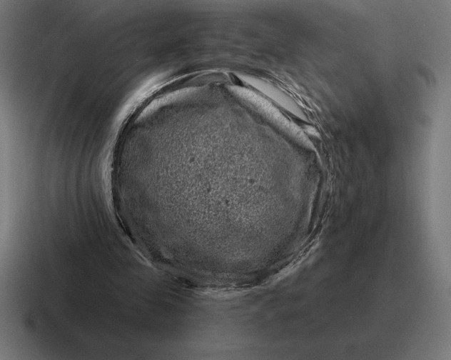 X0000116810341200912312000