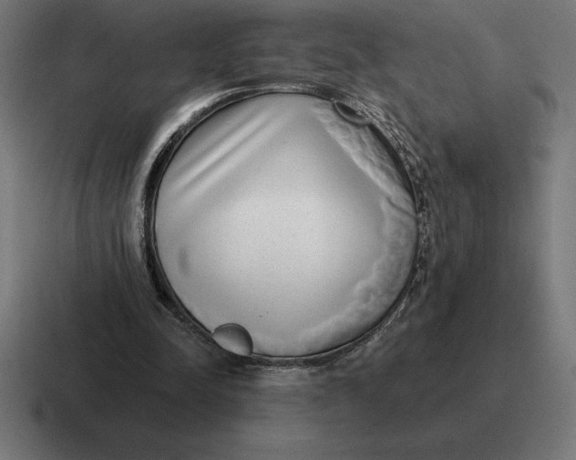 X0000116810342200912312000