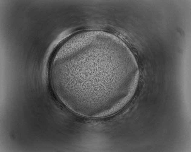 X0000116810343200912312000