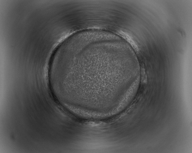 X0000116810346200912312000