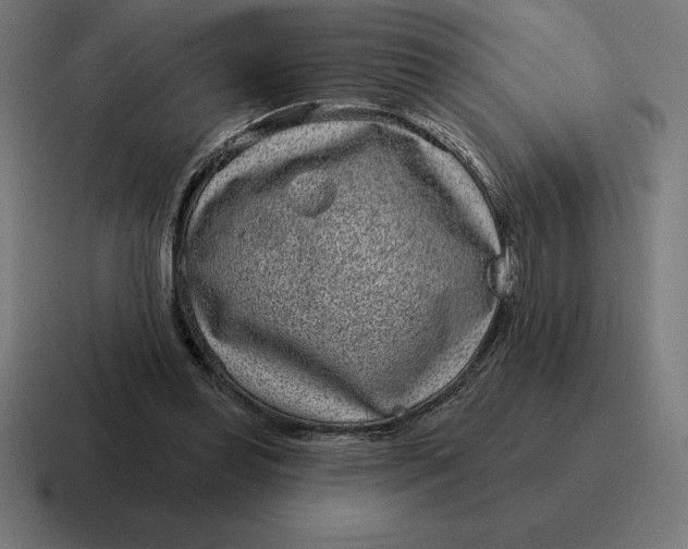 X0000116810349200912312000