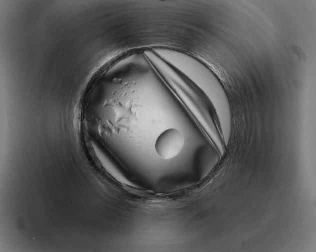 X0000116810350200912312000