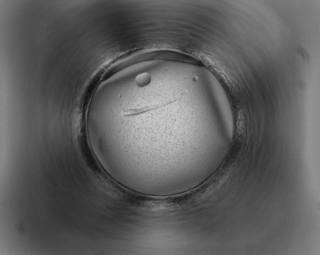 X0000116810351200912312000