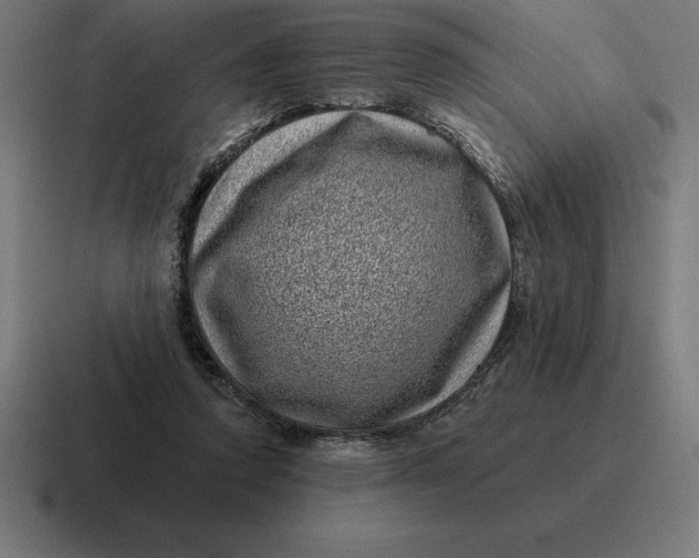 X0000116810354200912312000