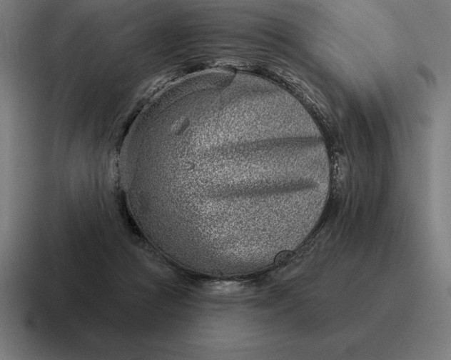 X0000116810361200912312000