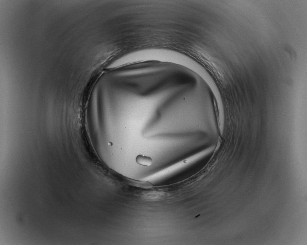 X0000116810362200912312000