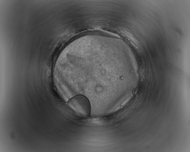 X0000116810365200912312000