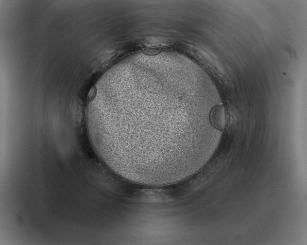 X0000116810367200912312000