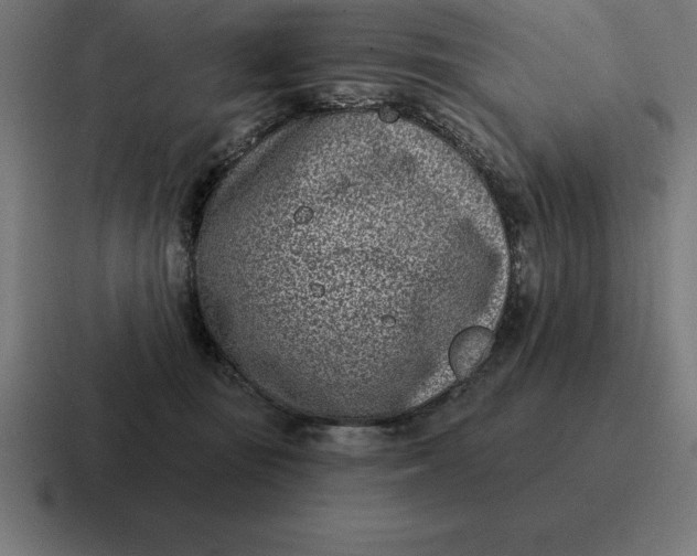 X0000116810371200912312000