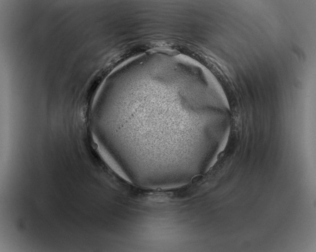 X0000116810373200912312000