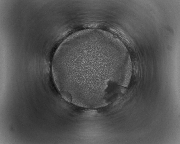 X0000116810374200912312000