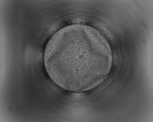 X0000116810375200912312000