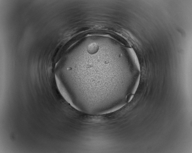 X0000116810377200912312000