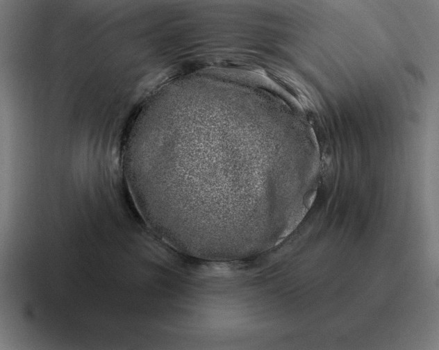 X0000116810381200912312000