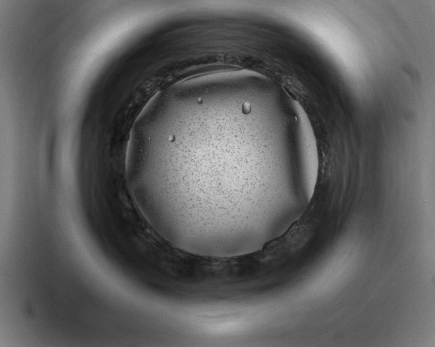 X0000116810383200912312000