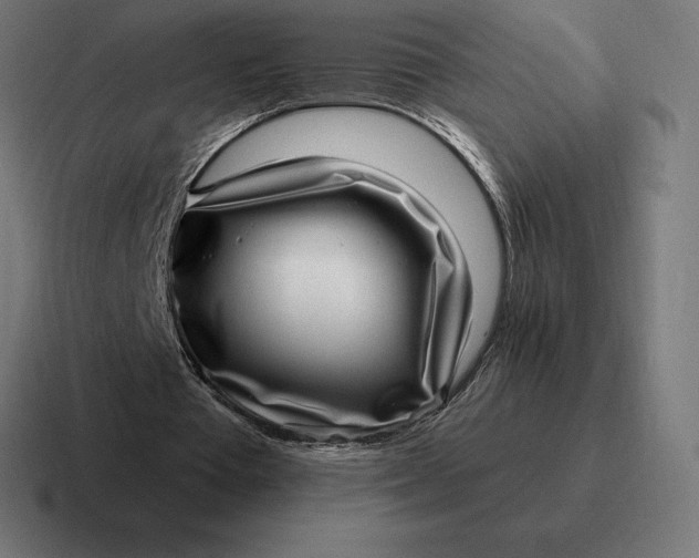 X0000116810385200912312000