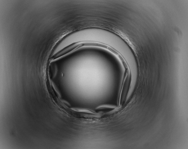 X0000116810386200912312000