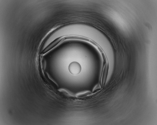 X0000116810387200912312000