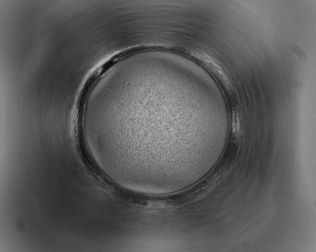 X0000116810388200912312000