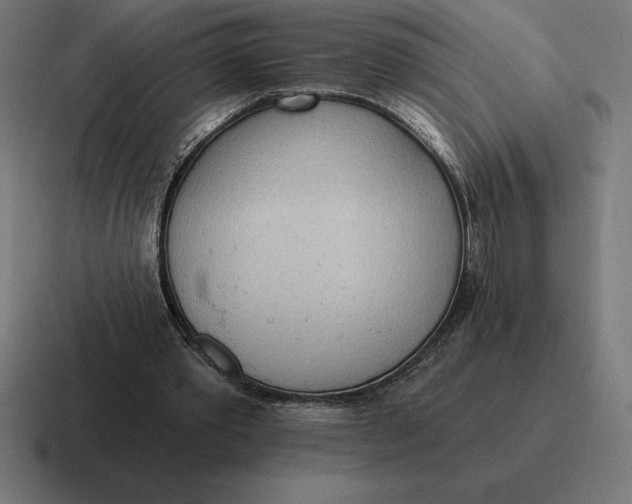 X0000116810389200912312000