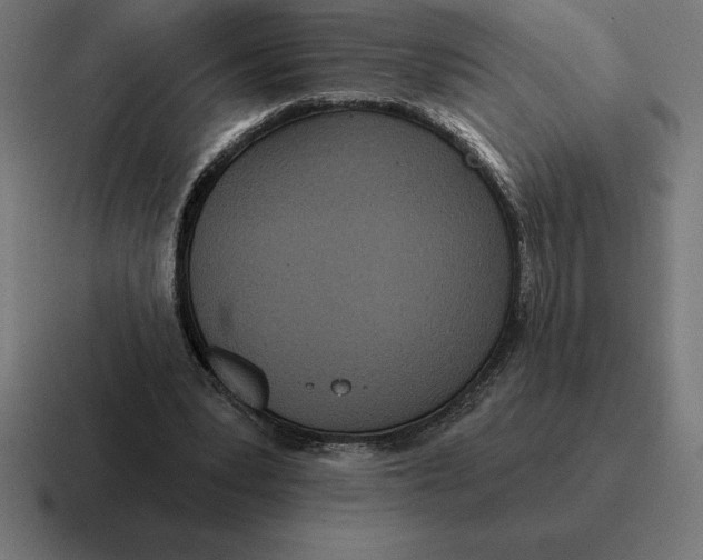 X0000116810391200912312000