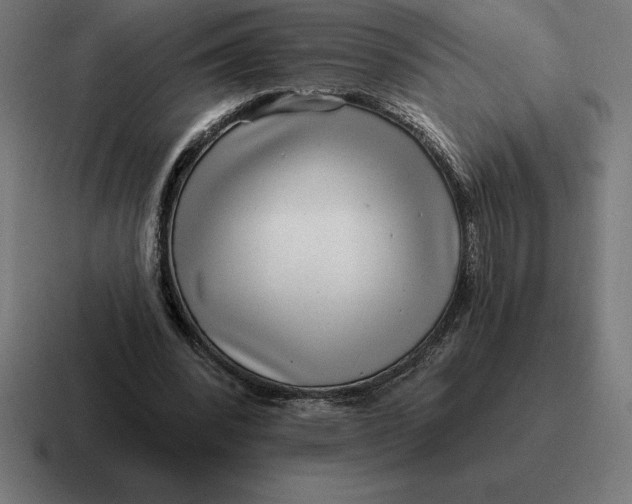 X0000116810392200912312000