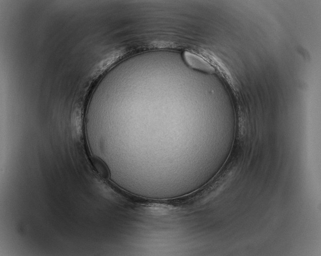 X0000116810393200912312000