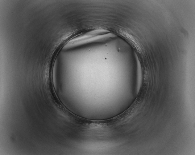 X0000116810394200912312000