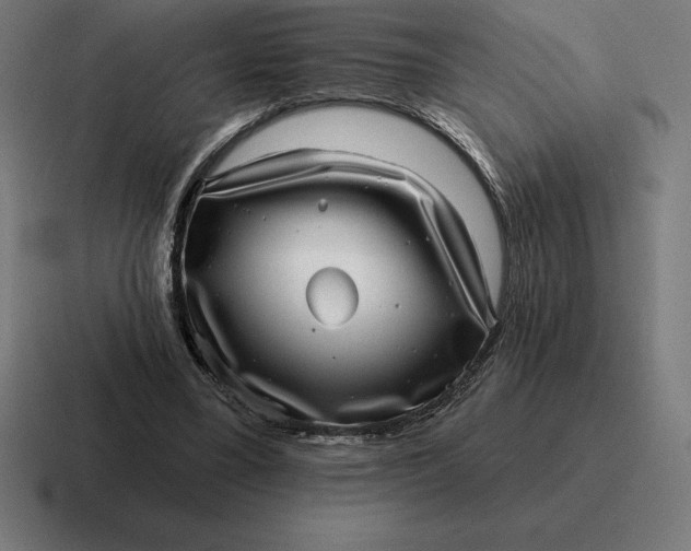 X0000116810395200912312000