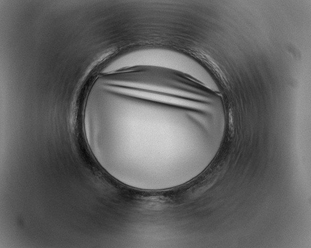 X0000116810396200912312000