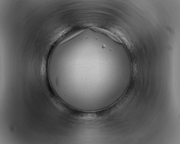 X0000116810398200912312000