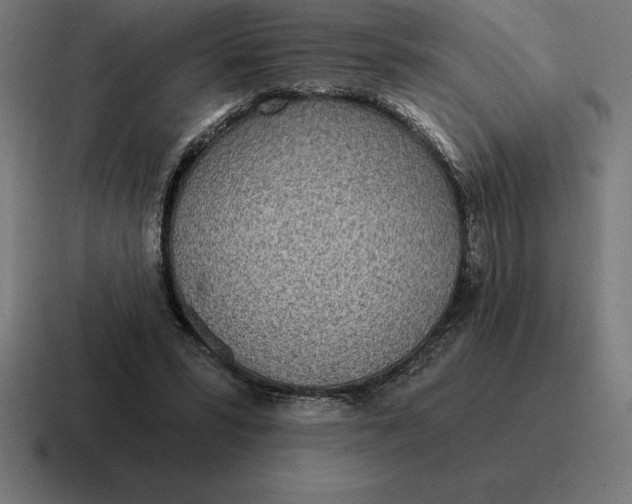 X0000116810399200912312000