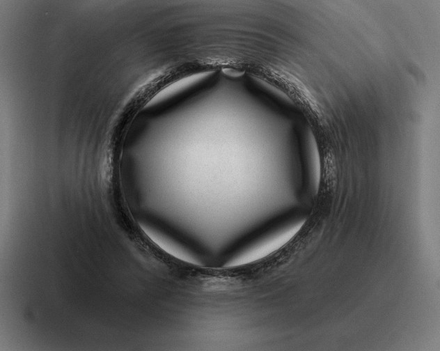 X0000116810400200912312000