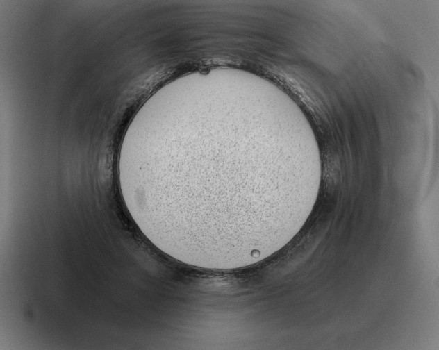 X0000116810402200912312000