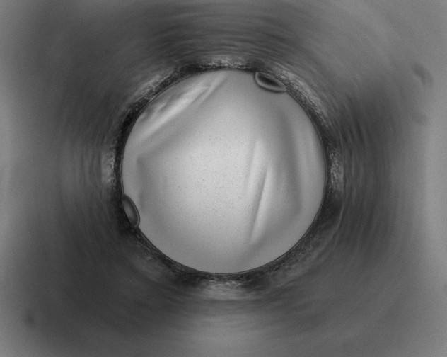 X0000116810403200912312000