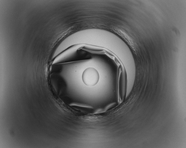 X0000116810405200912312000