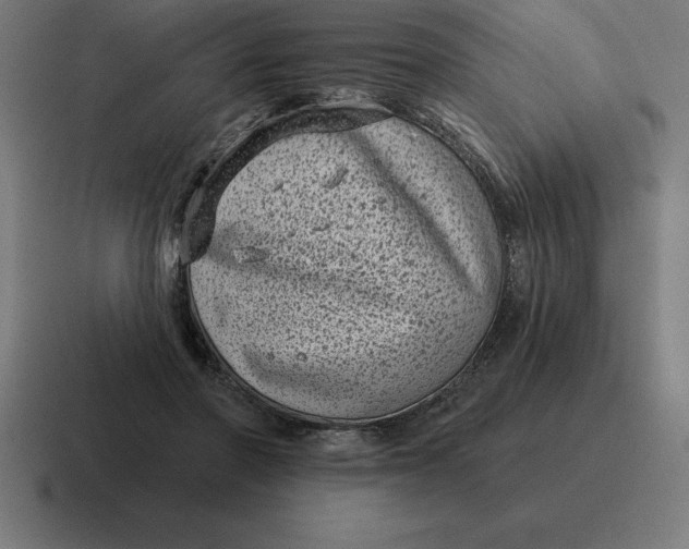 X0000116810406200912312000