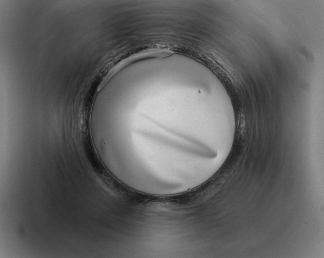 X0000116810408200912312000