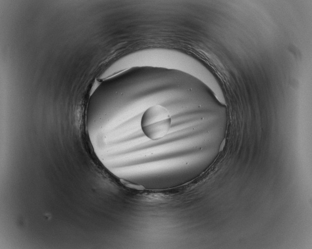 X0000116810409200912312000