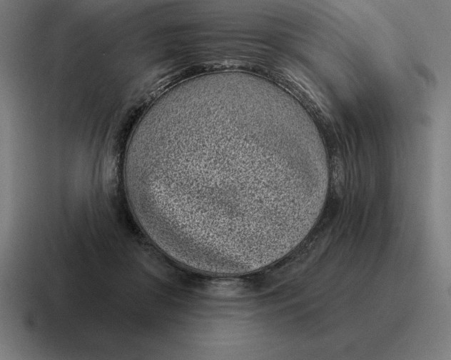 X0000116810410200912312000