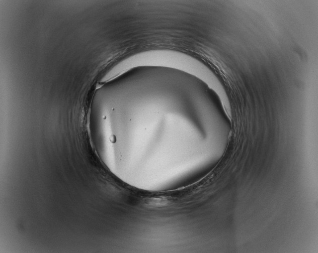 X0000116810411200912311959