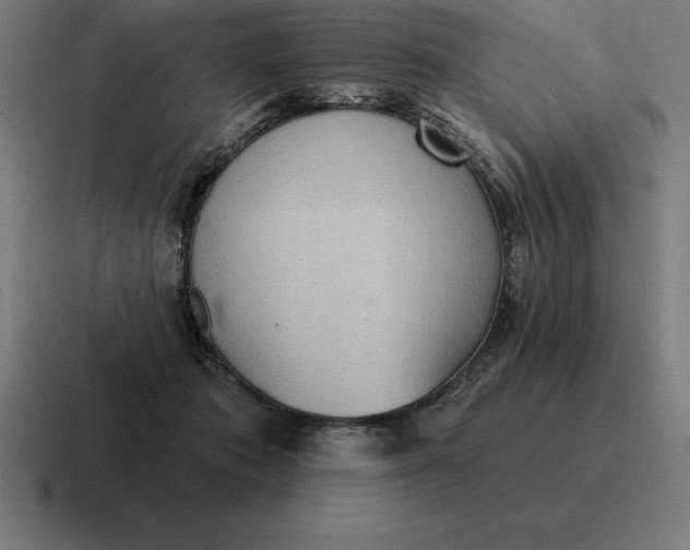 X0000116810413200912311959