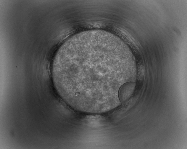 X0000116810414200912311959